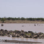 Landschaft in Burkina Faso